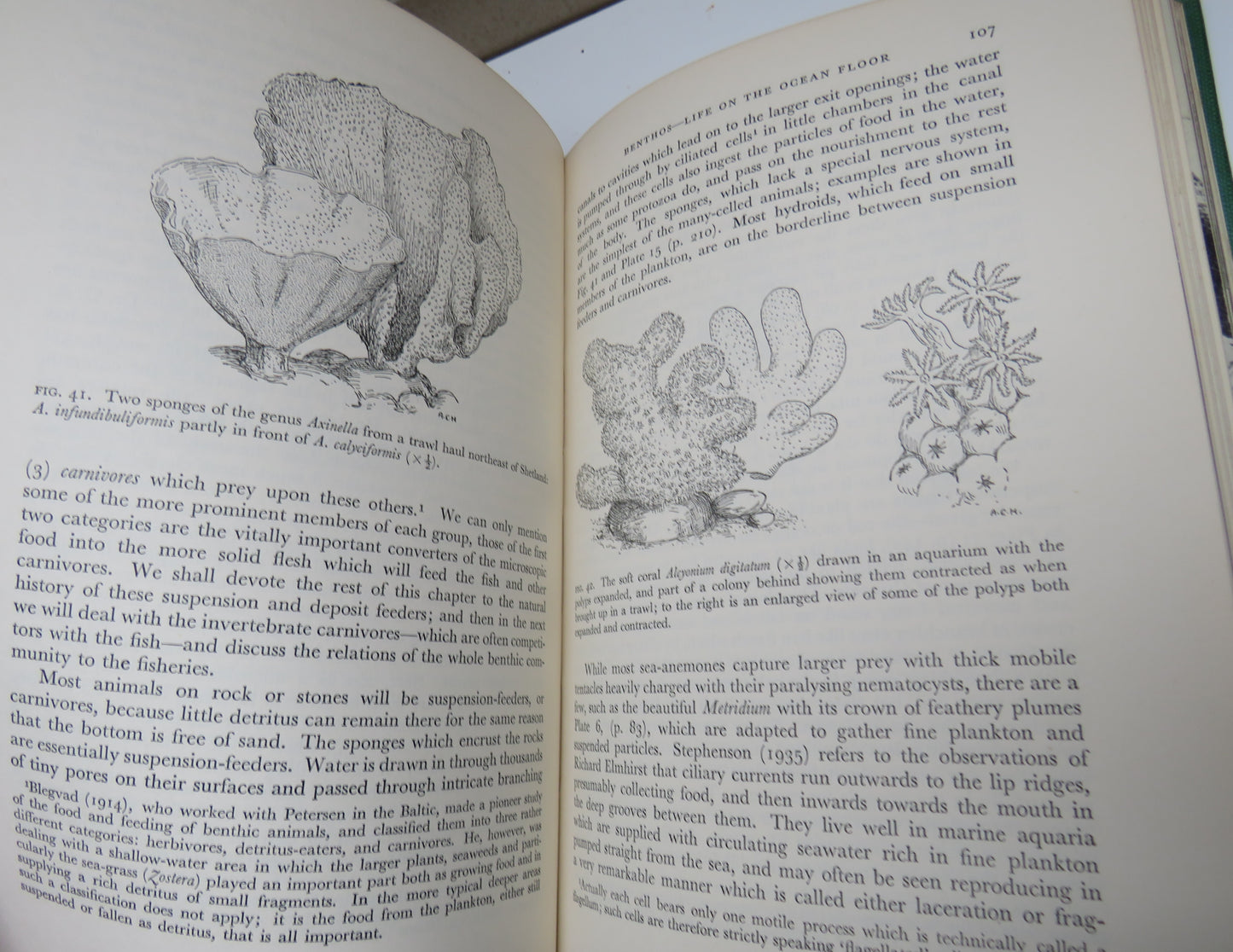 Fish & Fisheries By Sir Alister Hardy 1959 Part II With Chapters On Whales, Turtles, And Animals Of The Sea Floor By Sir Alister Hardy