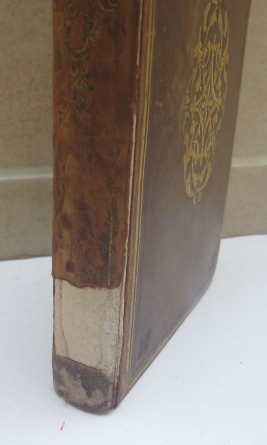 The Beauties Of Pope Consisting Of Selections From His Political and Prose Works By Alfred Howard