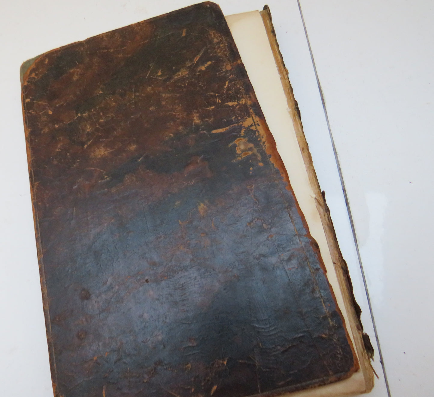 Bear and Forbear; Or The History Of Julia Marchmont Intended For The Use Of Young Ladies By Miss Woodland 1814