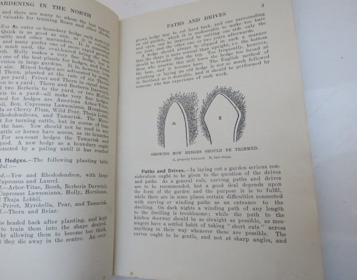 Gardening In The North By S. Arnott 1909