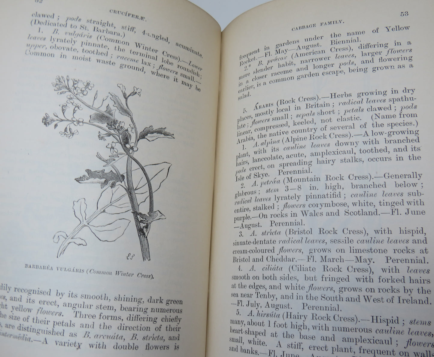 Flowers Of The Field By The Late Rev. C. A. John's 1902