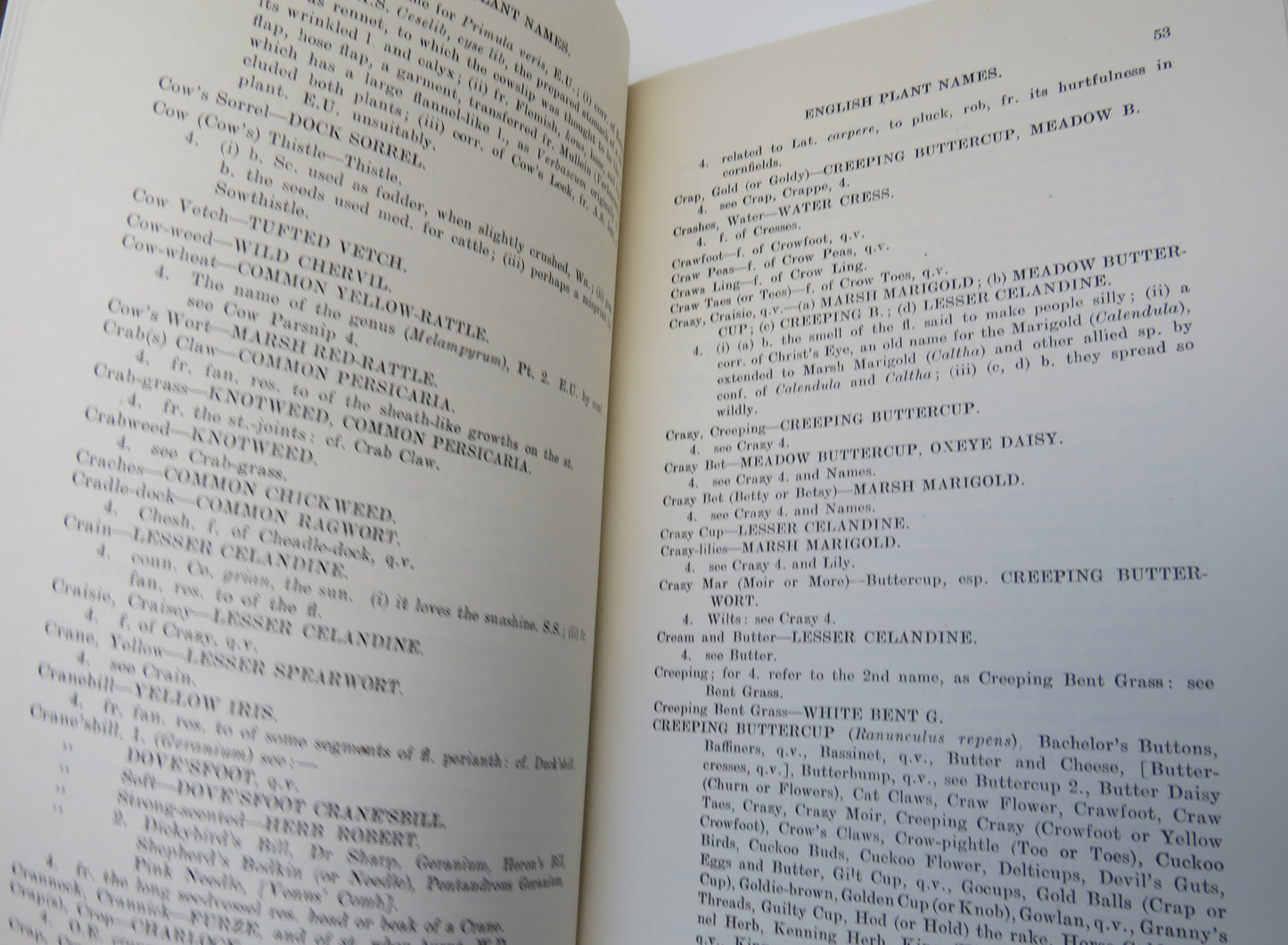 English Names Of Our Commonest Wild Flowers Part I 1932