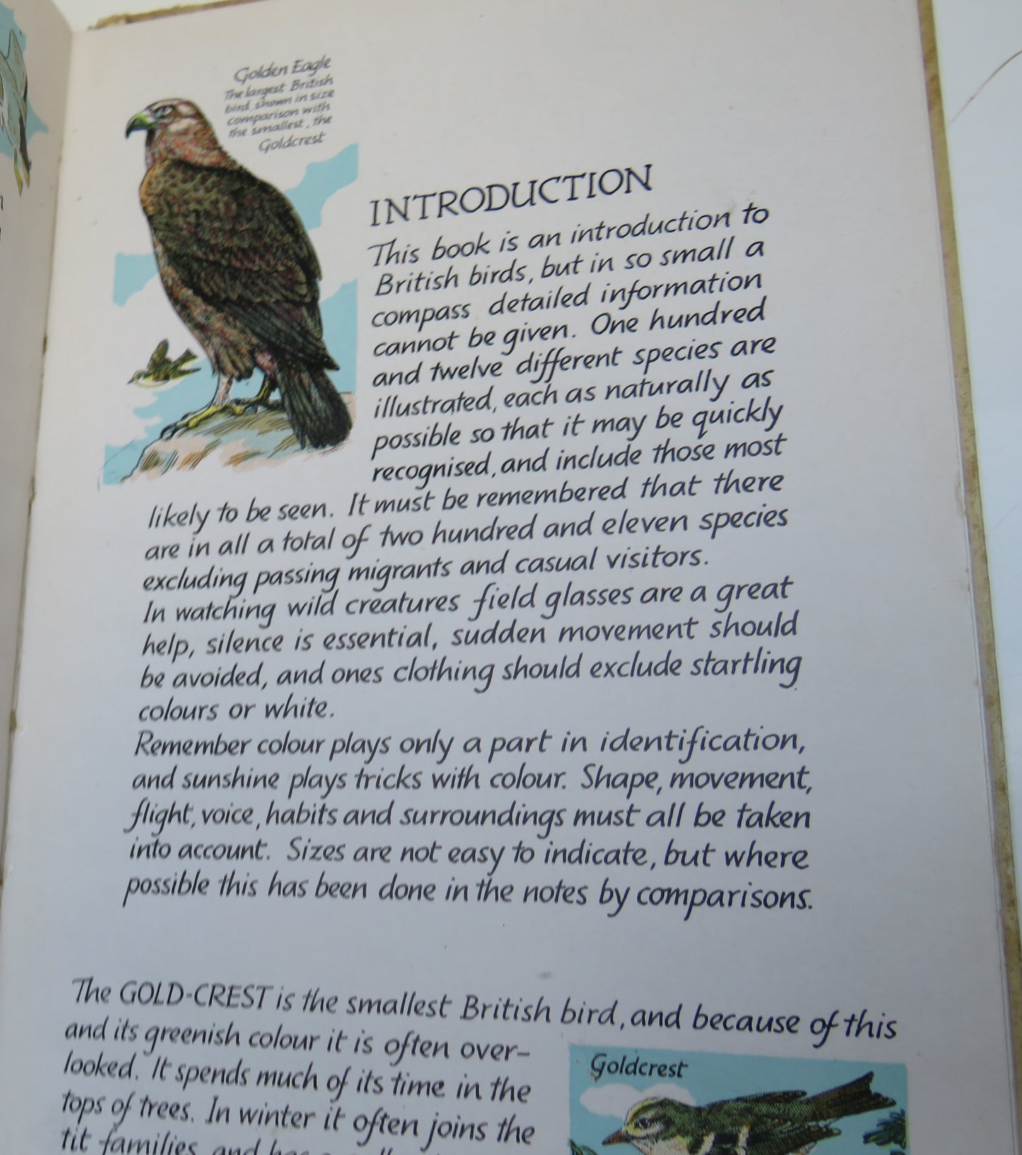 How To Recognise British Wild Birds By Eric Pochin