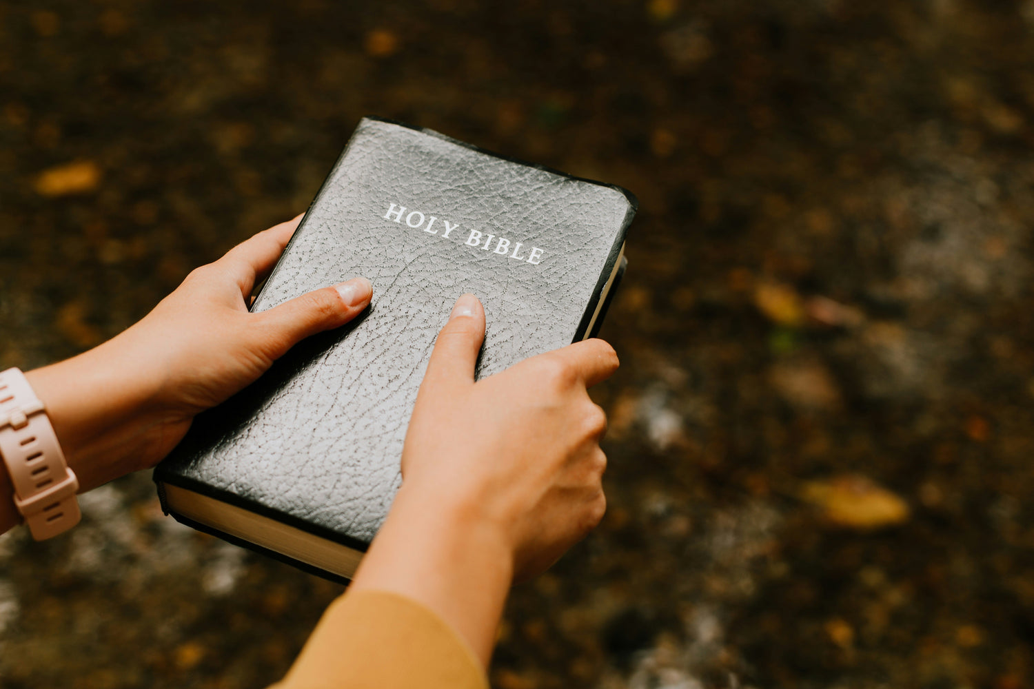 Hands holding a Holy Bible outdoors, bibles and religious books at J.W.B Books