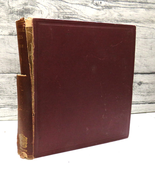 Genealogical Tables Illustrative Of Modern History By Hereford B. George 1886