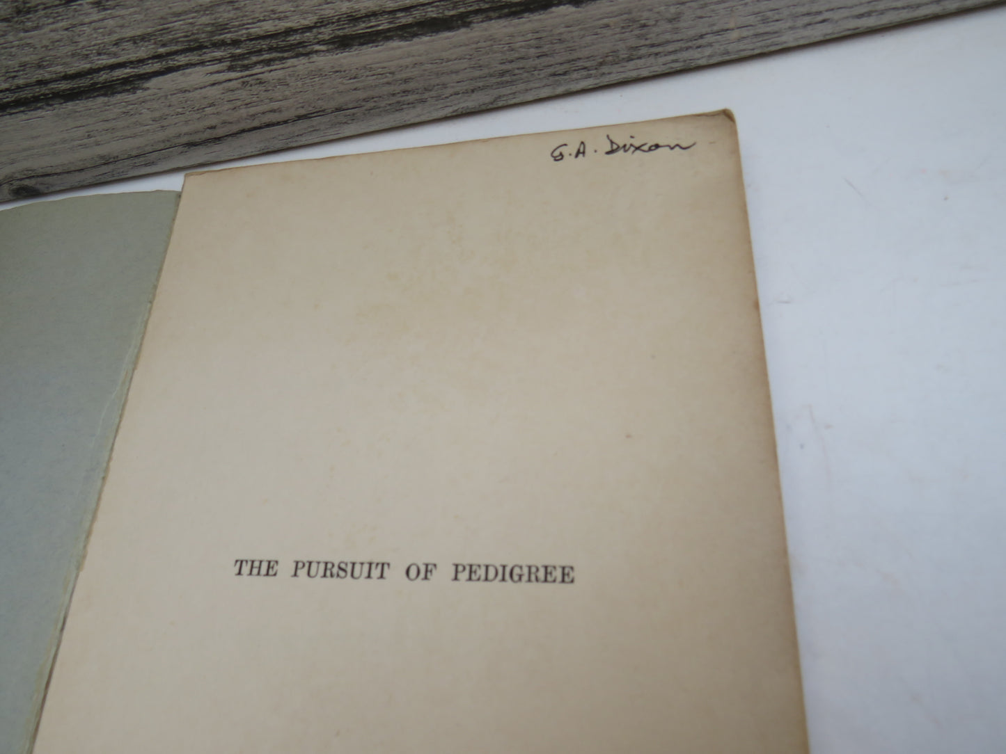 The Pursuit of Pedigree By Hector M'Kenchnie 1928