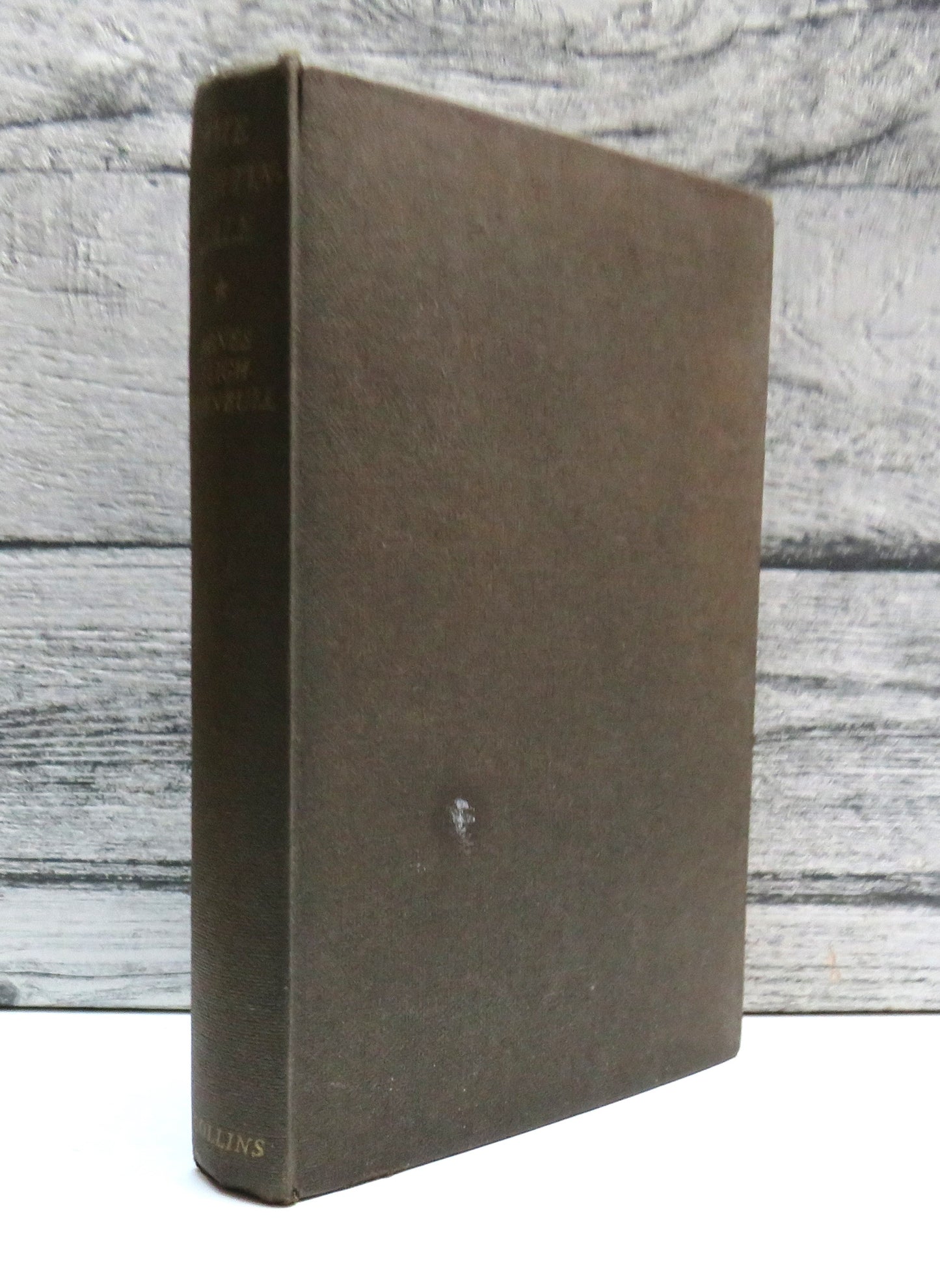 The Nightingale By Agnes Sligh Turnbull 1961