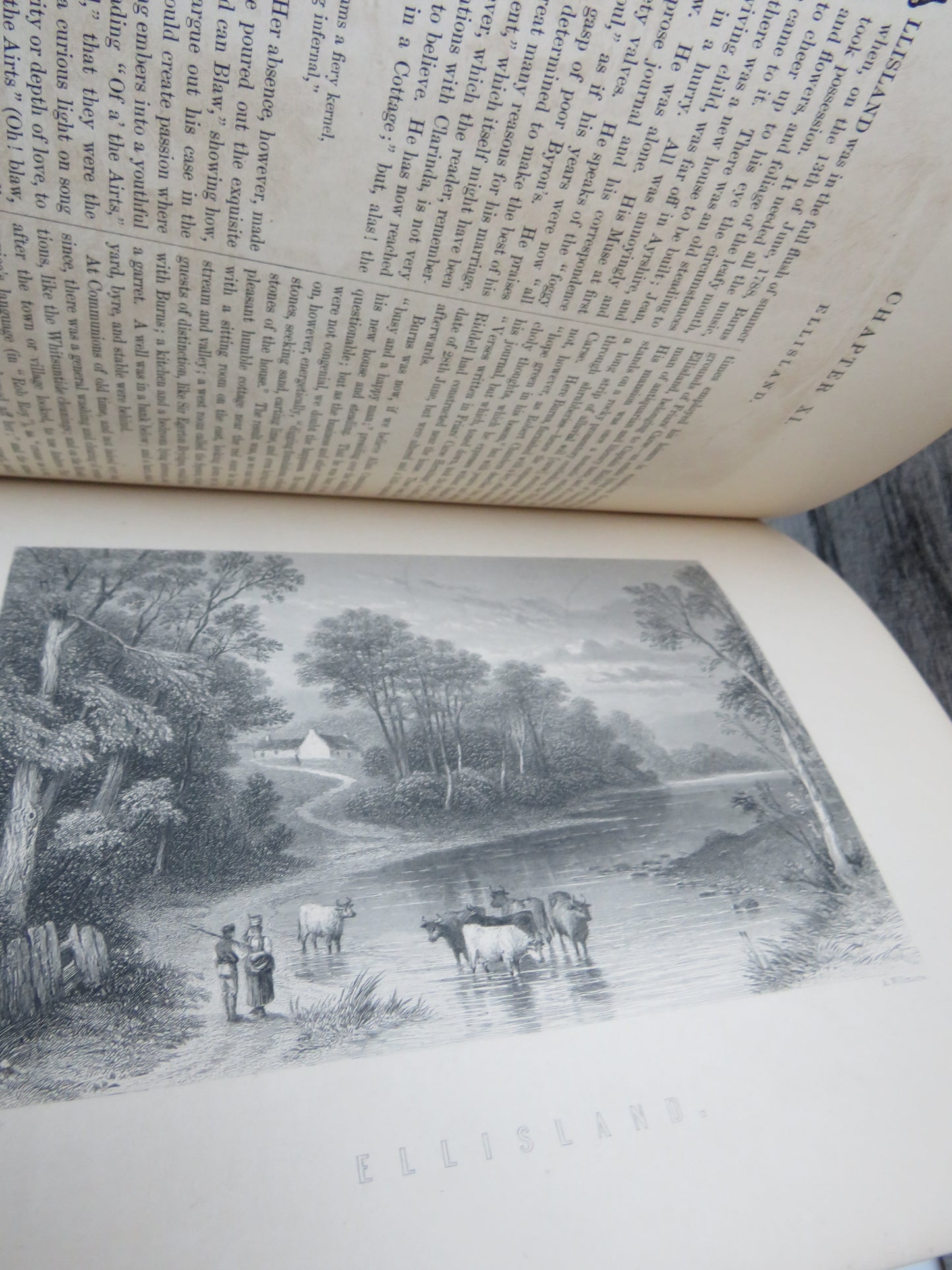 The National Burns Edited By Rev. George Gilfillan Including The Airs of All The Songs and An Original Life of Burns By The Editor