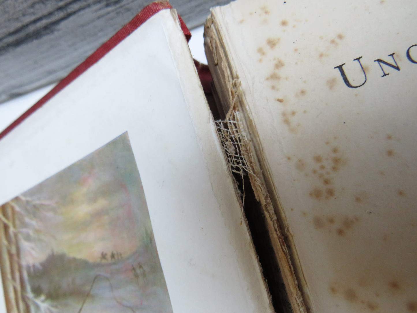 Uncle Tom's Cabin Or Slave Life In America By Mrs. H. Beecher Stowe