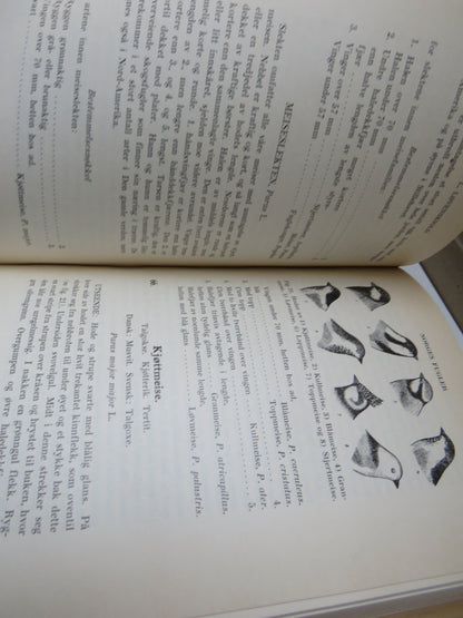 Handbok Over Norges Fugler By Herman L. Lovenskiold 1947 book image 6
