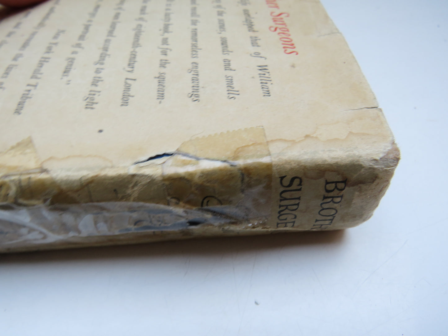 Brother Surgeons A Novel By Garet Rogers 1957