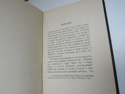 The Cuckoo's Secret By Edgar Chance 1922 book image 5