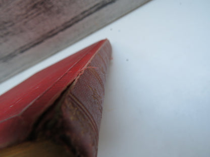 Ella Mercedes By Sophie Von Niebelschutz Antique 19thC German Book