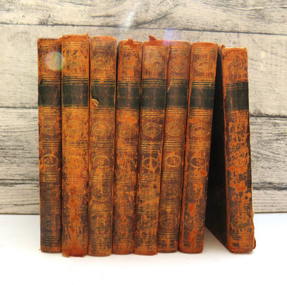 The Spectator With Sketches of the Lives of the Authors, and Explanatory Notes In 8 Volumes 1797