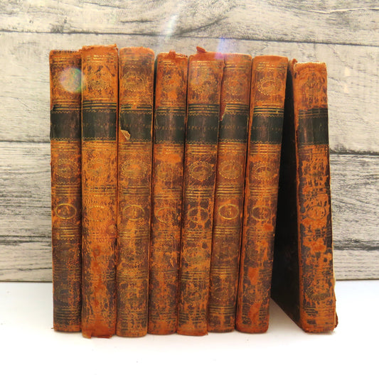 The Spectator With Sketches of the Lives of the Authors, and Explanatory Notes In 8 Volumes 1797