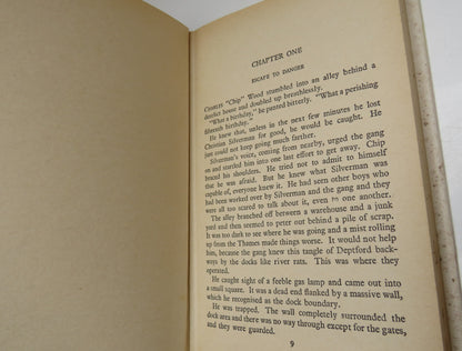 Flashing Mountain By Edwin Johnson 1966 book image 4