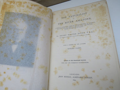 The Naturalist On The River Amazons By Henry Walter Bates 1892 book image 4