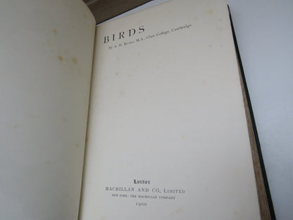 Birds By A.H. Evans M.A. Clare College Cambridge 1900 book image 4