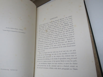 Birds By A.H. Evans M.A. Clare College Cambridge 1900 book image 5