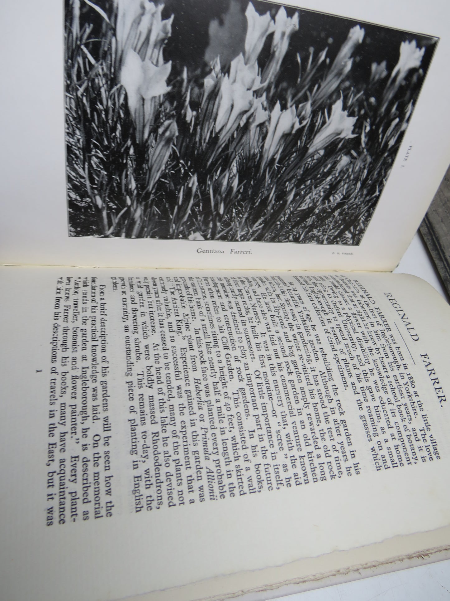Reginald Farrer, Author, Traveller, Botanist and Flower Painter, by F. H. Fisher, Limited Edition