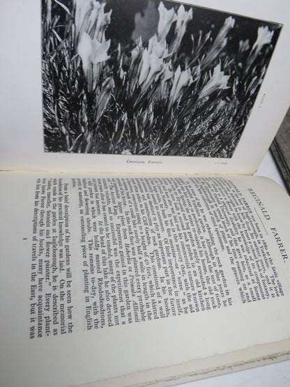 Reginald Farrer, Author, Traveller, Botanist and Flower Painter, by F. H. Fisher, Limited Edition book image 4