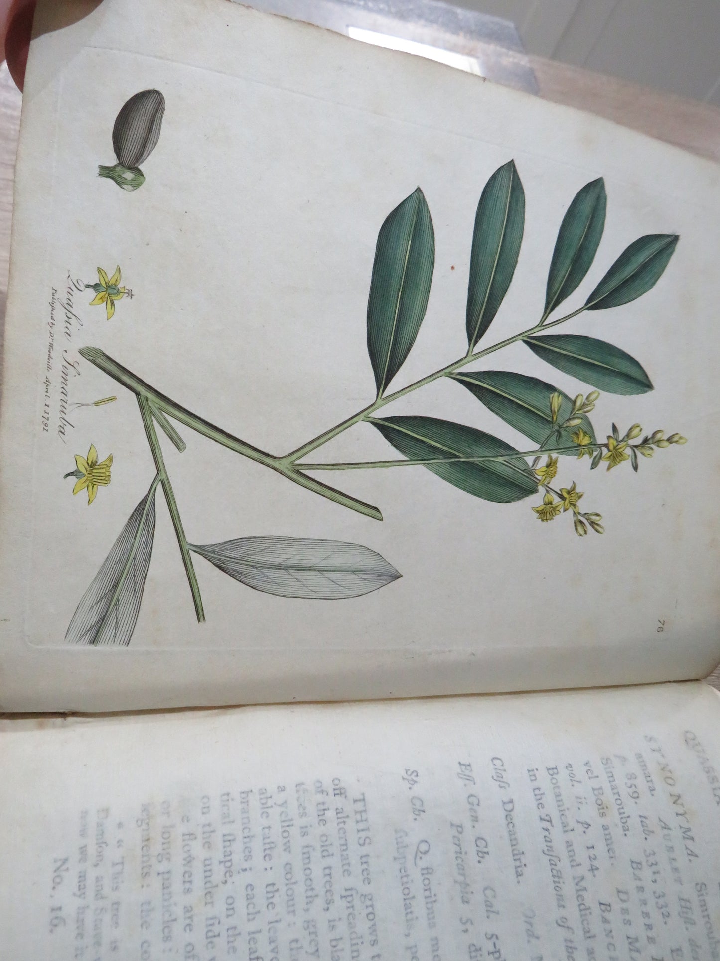 Medical Botany Containing Systematic and General Descriptions With Plates of All Medicinal Plants By William Woodville 1792 Volume II