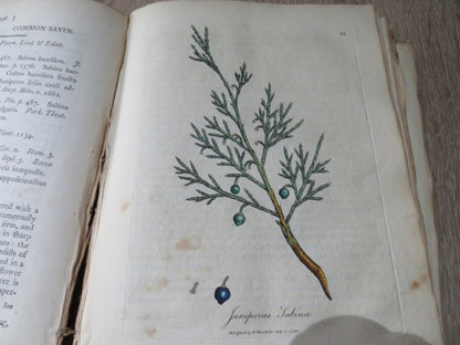 Medical Botany Containing Systematic and General Descriptions With Plates of All Medicinal Plants By book image 11