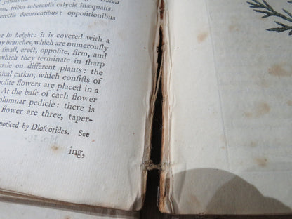 Medical Botany Containing Systematic and General Descriptions With Plates of All Medicinal Plants By book image 12