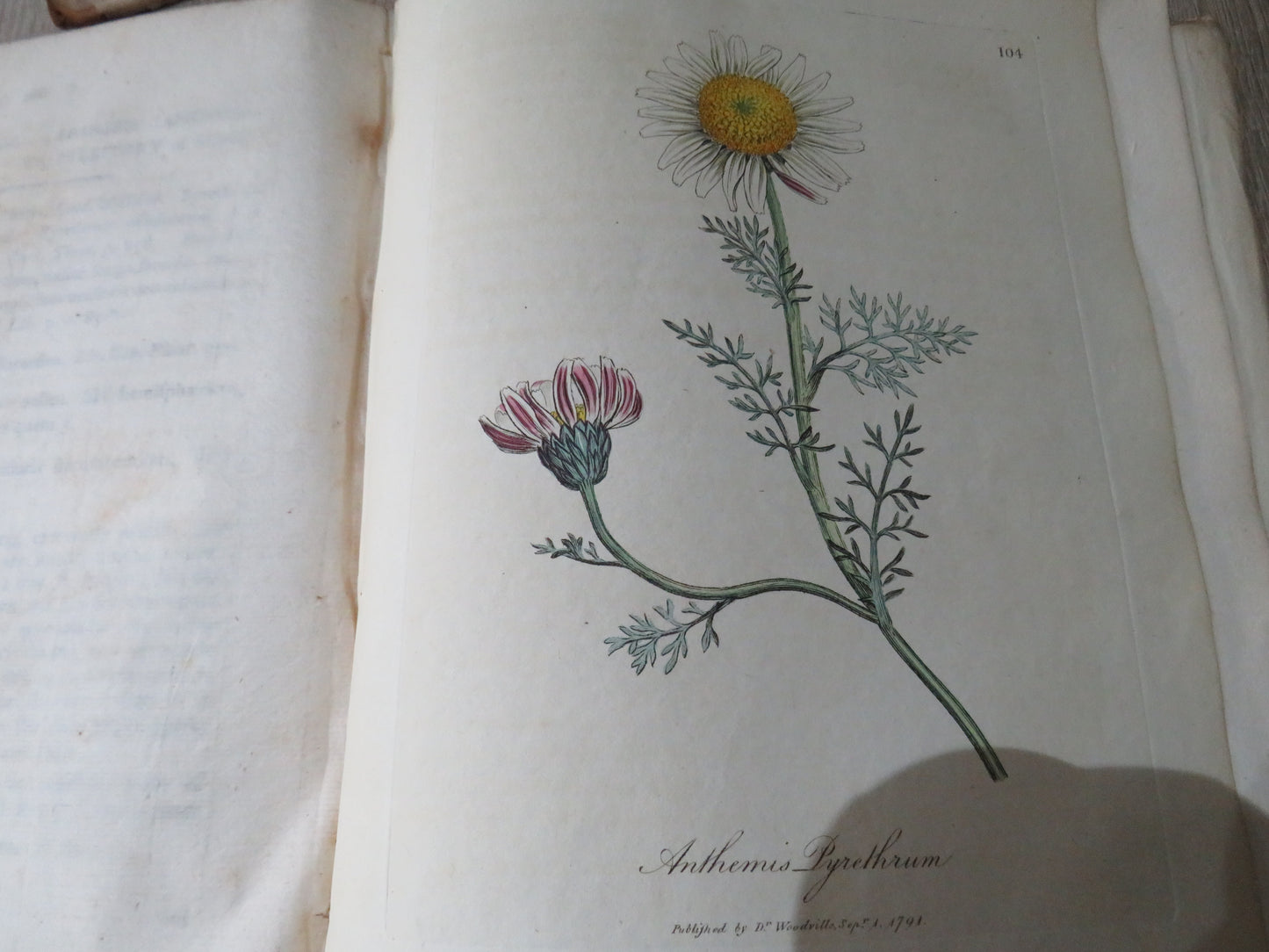 Medical Botany Containing Systematic and General Descriptions With Plates of All Medicinal Plants By William Woodville 1792 Volume II