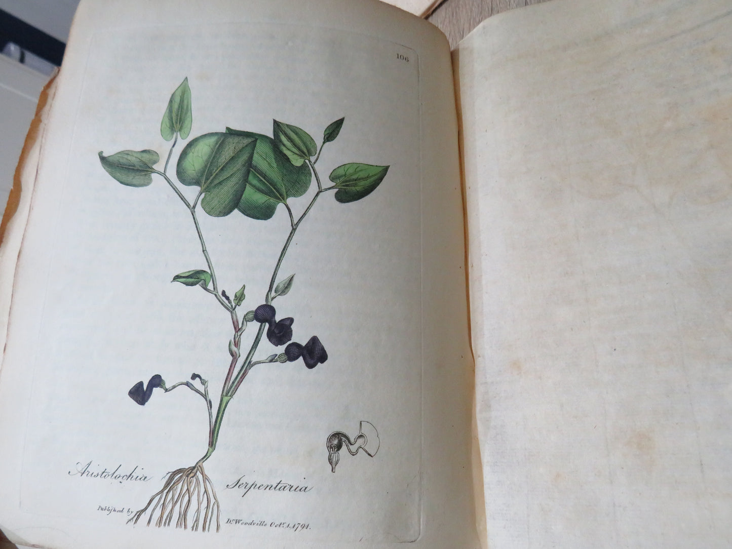 Medical Botany Containing Systematic and General Descriptions With Plates of All Medicinal Plants By William Woodville 1792 Volume II