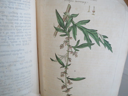 Medical Botany Containing Systematic and General Descriptions With Plates of All Medicinal Plants By book image 15