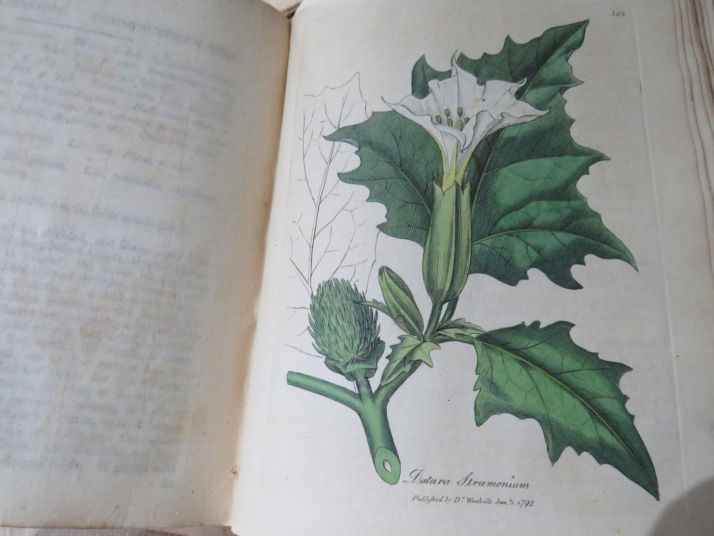 Medical Botany Containing Systematic and General Descriptions With Plates of All Medicinal Plants By William Woodville 1792 Volume II