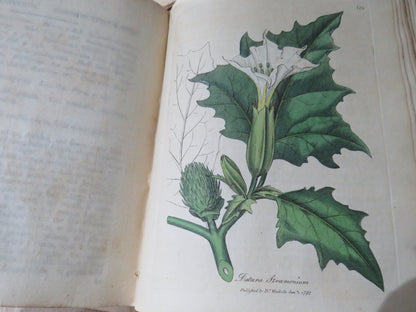 Medical Botany Containing Systematic and General Descriptions With Plates of All Medicinal Plants By book image 16