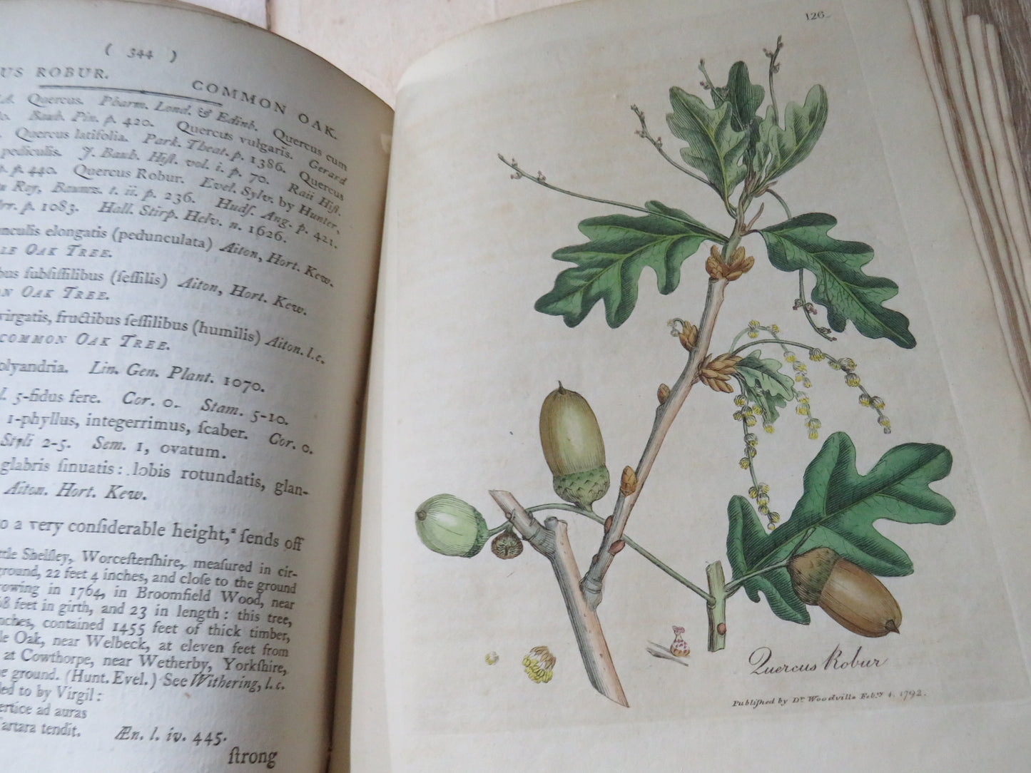 Medical Botany Containing Systematic and General Descriptions With Plates of All Medicinal Plants By William Woodville 1792 Volume II