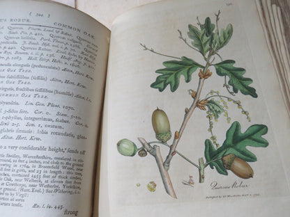 Medical Botany Containing Systematic and General Descriptions With Plates of All Medicinal Plants By book image 17