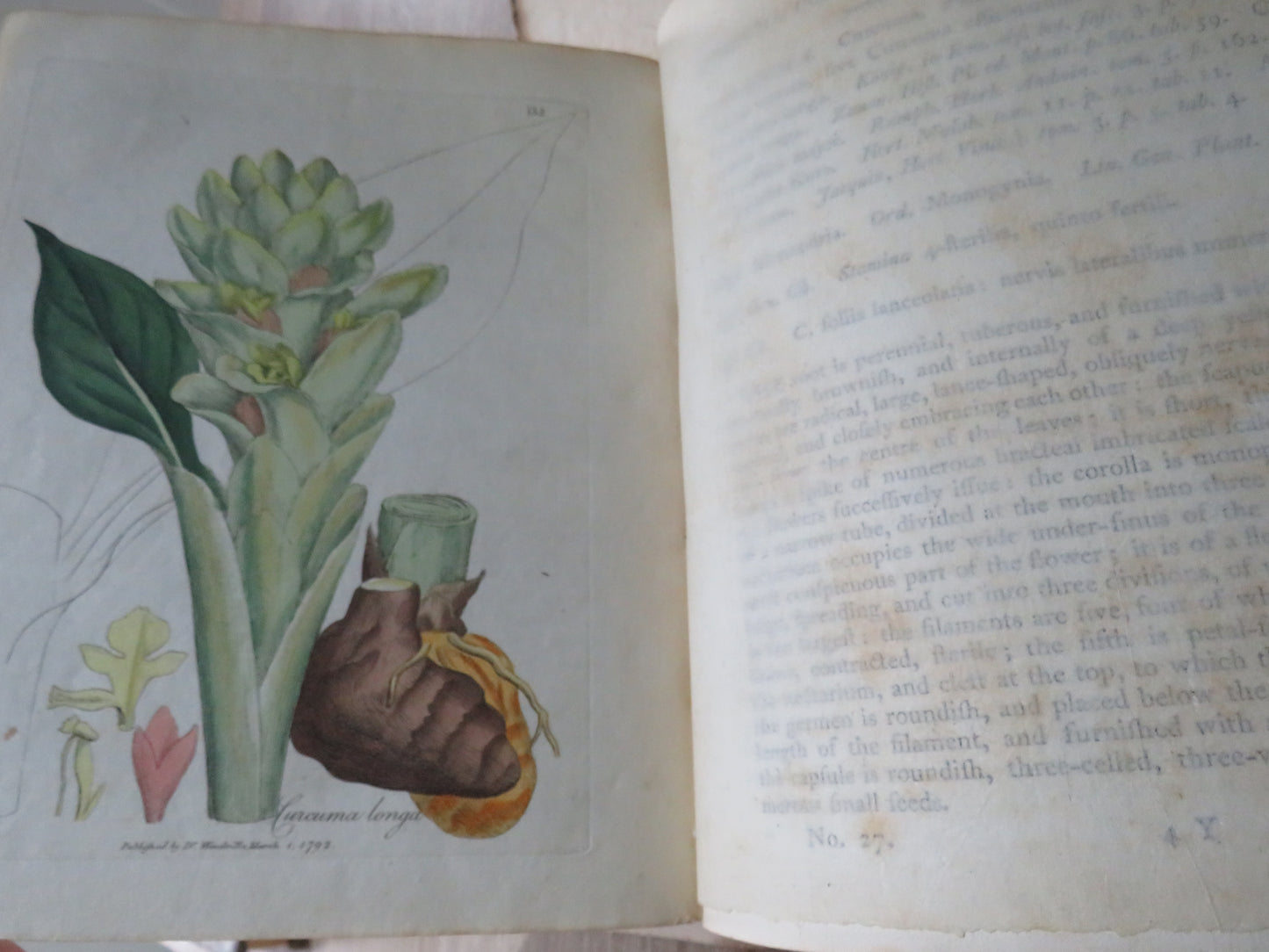 Medical Botany Containing Systematic and General Descriptions With Plates of All Medicinal Plants By William Woodville 1792 Volume II