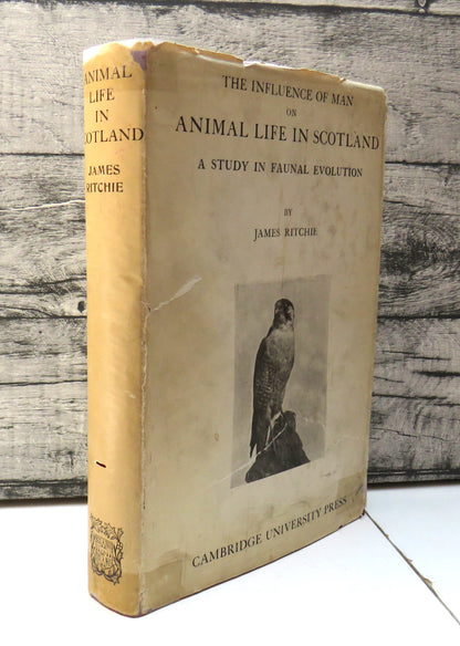 The Influence of Man On Animal Life In Scotland A Study In Faunal Evolution By James Ritchie 1920 book front cover