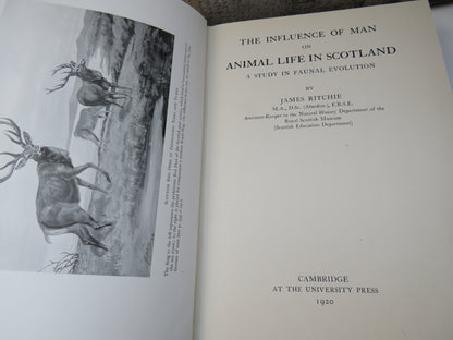 The Influence of Man On Animal Life In Scotland A Study In Faunal Evolution By James Ritchie 1920 book image 4