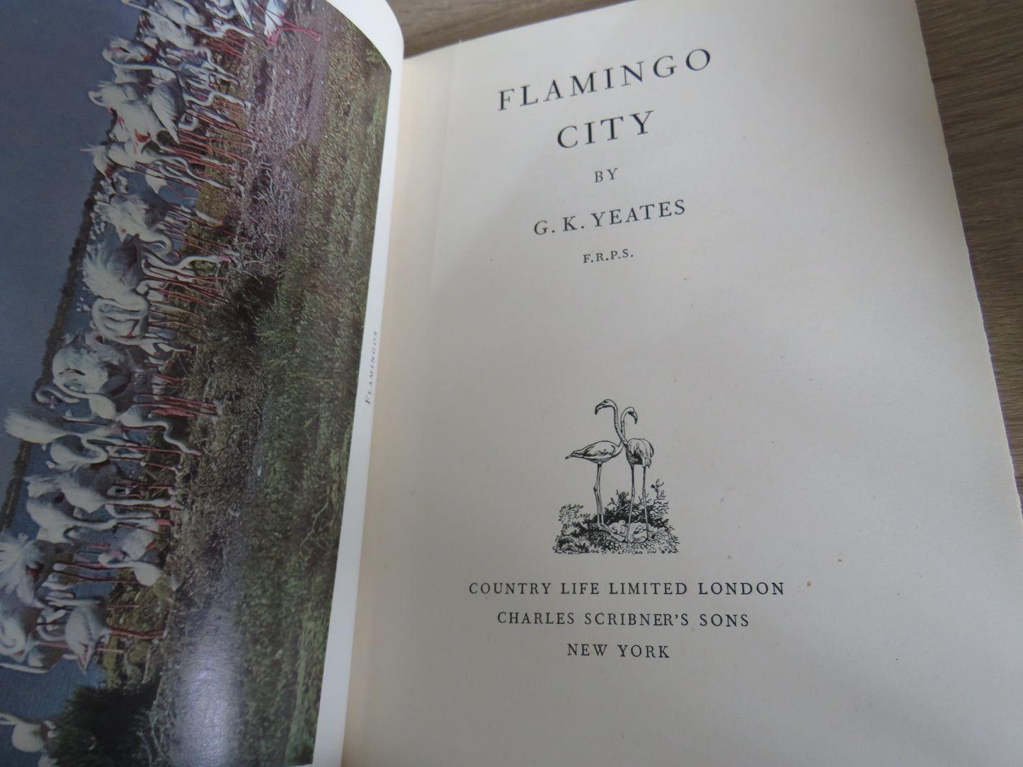 Flamingo City By G.K. Yeates 1950 1st Edition