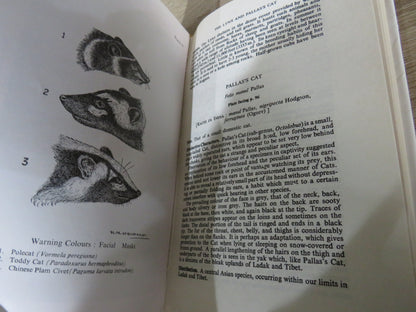The Book of Indian Animals By S.H. Prater 1980 book image 8