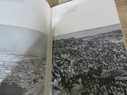 The Murres Their Distribution, Populations and Biology A Study of the Genus Uria By Leslie M. Tuck 1 book image 4