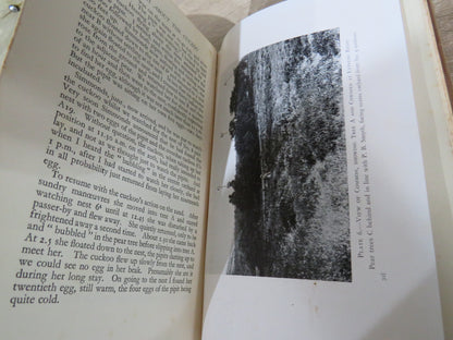 The Truth About The Cuckoo By Edgar P. Chance 1940 1st Edition book image 6