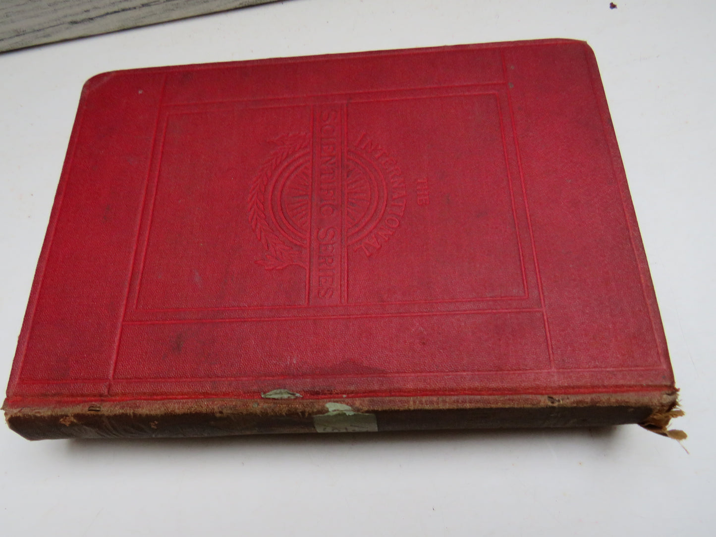 Illusions A Psychological Study By James Sully 1895