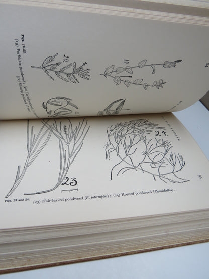 River Management The Making, Care & Development of Salmon & Trout Rivers book image 4