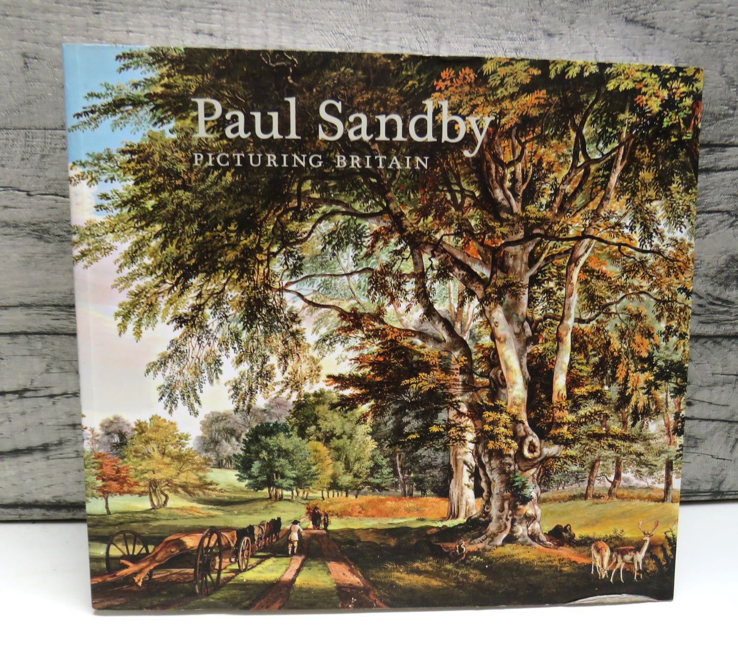 Paul Sandby Picturing Britain Edited By John Bonehill and Stephen Daniels 2009