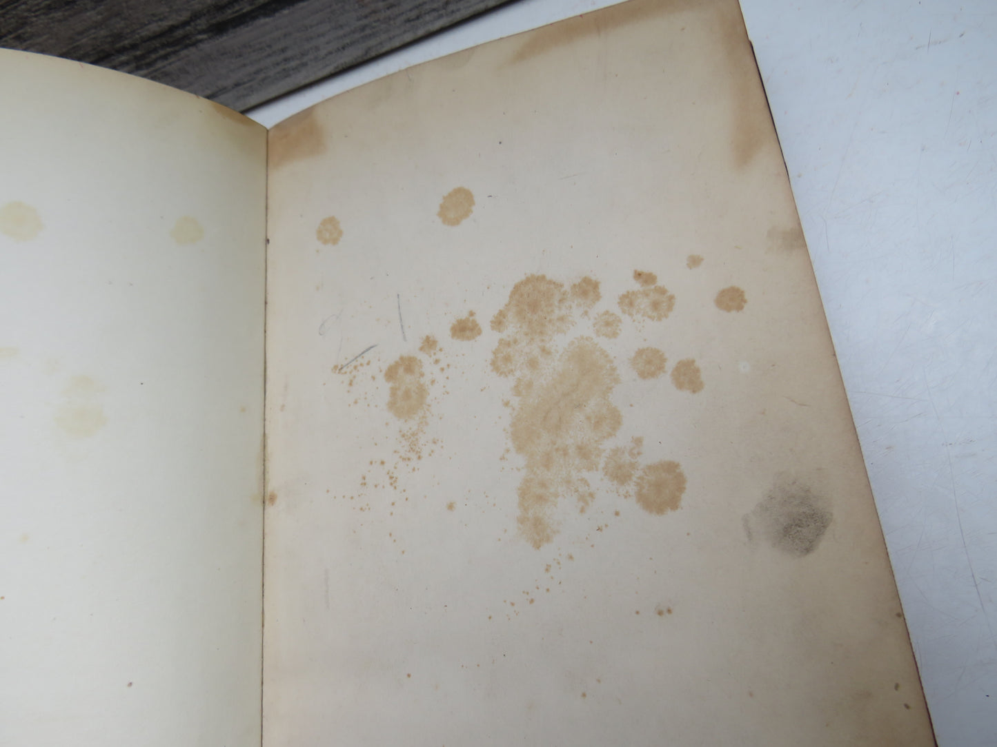 The History and Description of Fossil Fuel, The Collieries and Coal Trade of Great Britain 1841