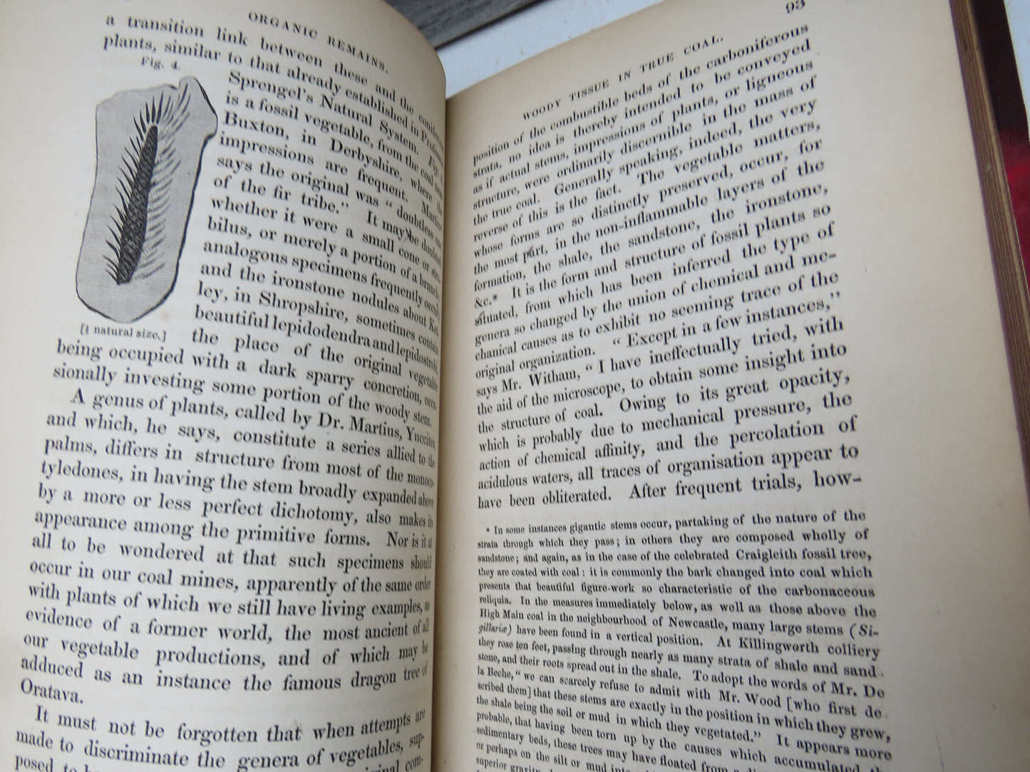 The History and Description of Fossil Fuel, The Collieries and Coal Trade of Great Britain 1841
