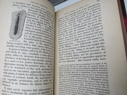The History and Description of Fossil Fuel, The Collieries and Coal Trade of Great Britain 1841