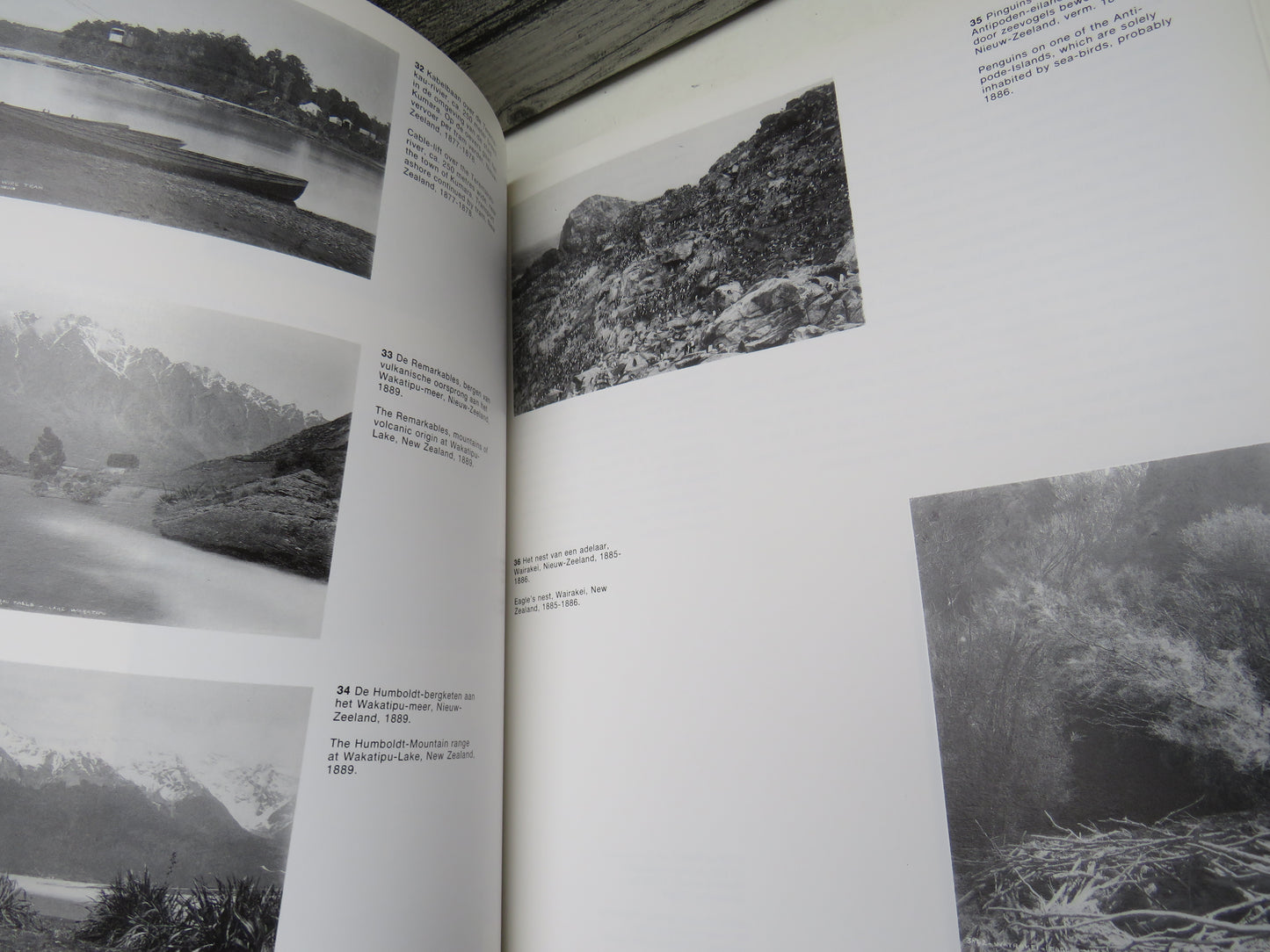 Photographs in New Zealand 1866-1898, Burton Brothers
