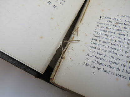 A Treasury Of English Sonnets By David M. Main 1880 book image 7